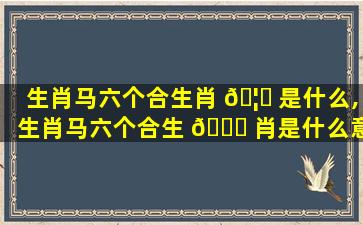 生肖马六个合生肖 🦄 是什么,生肖马六个合生 🐟 肖是什么意思